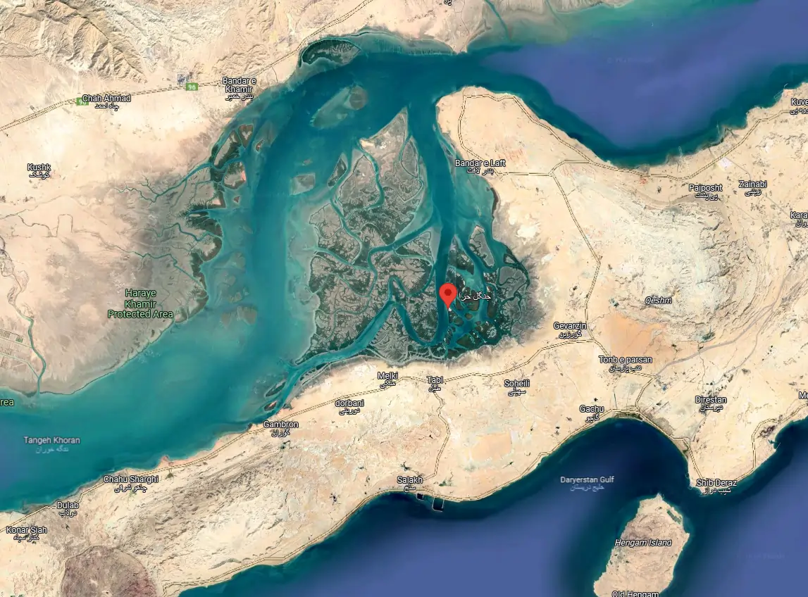 جنگل حرا