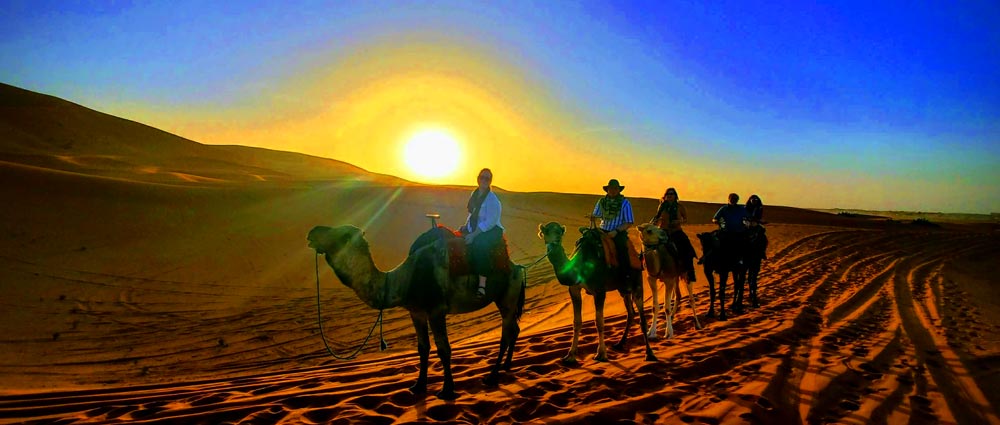 مشاهده و انعطافپذیری در سفر